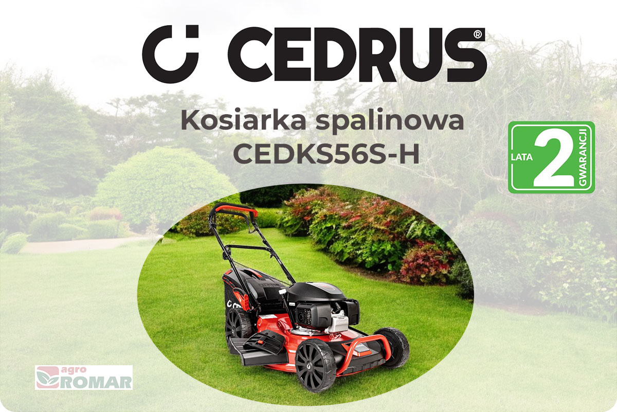 Kosiarka spalinowa Cedrus KS56S-H